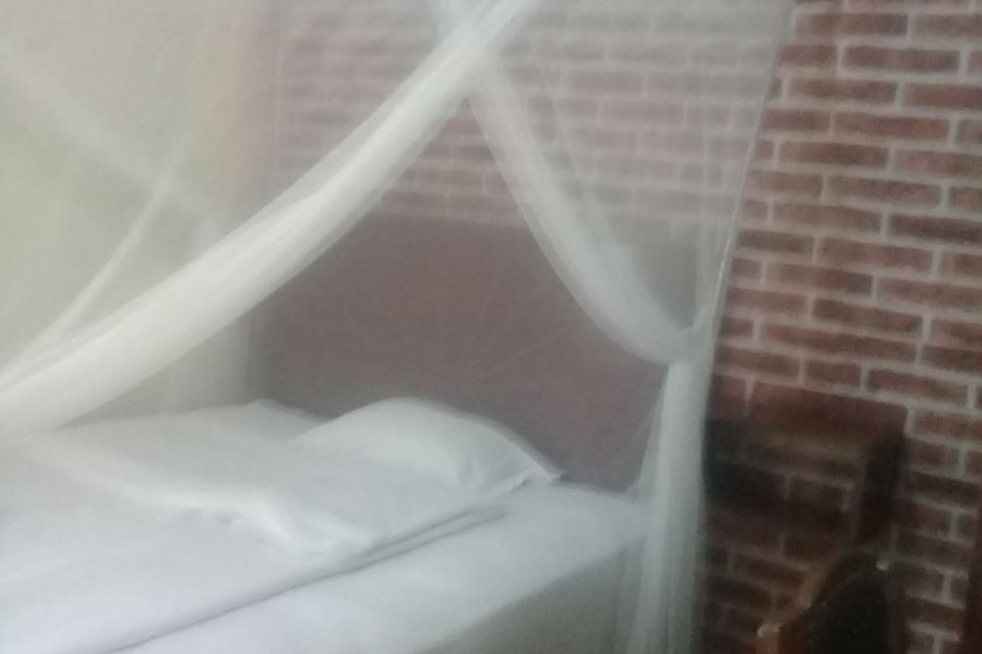 foto-2
