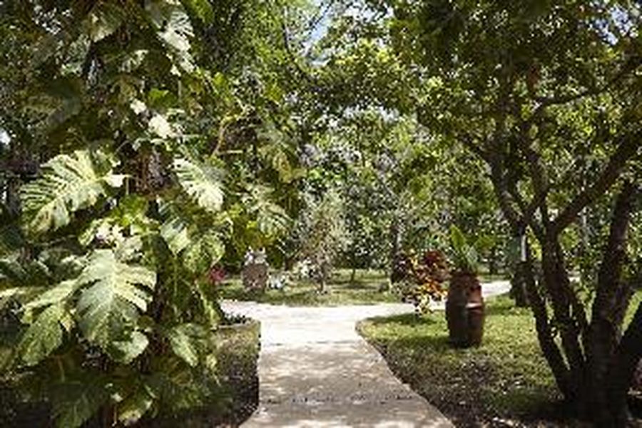 foto-3
