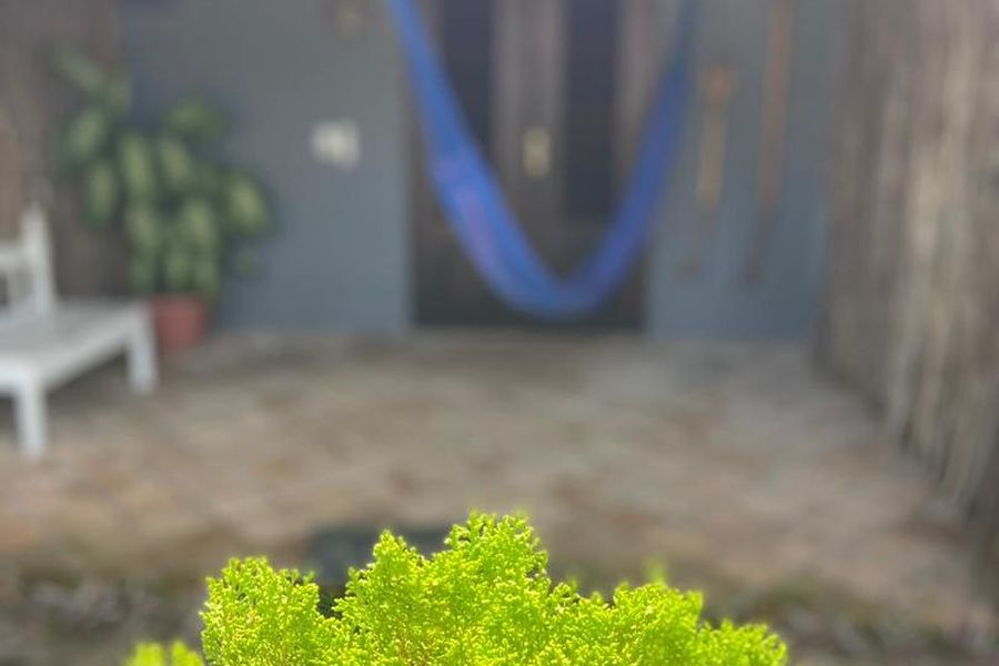 photo-0