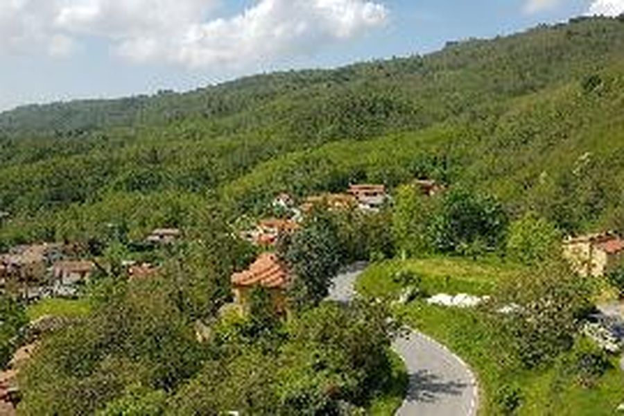 foto-3