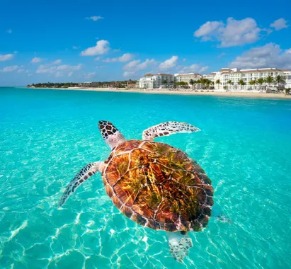 Playa Del Carmen