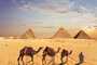 Caravana de camelos perto das Grandes Pirâmides de Gizé