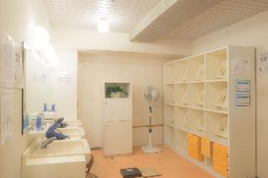photo-2