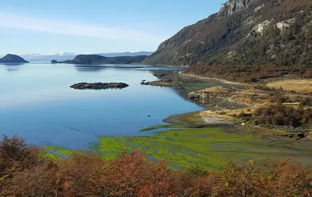 Parque Nacional Tierra del Fuego e Trem do Fim do Mundo: Tour de Ushuaia