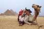 Turista com camelo sentado na frente das Pirâmides de Gizé