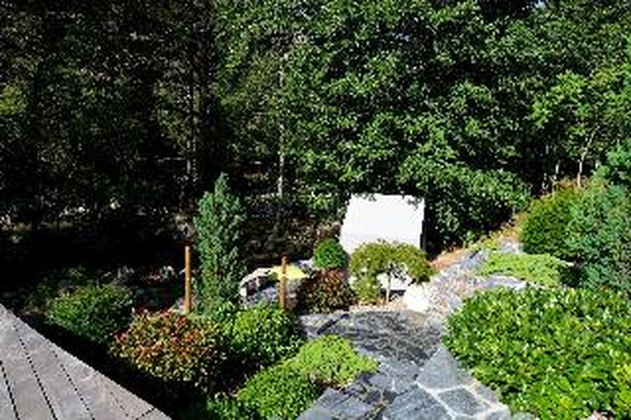 photo-3