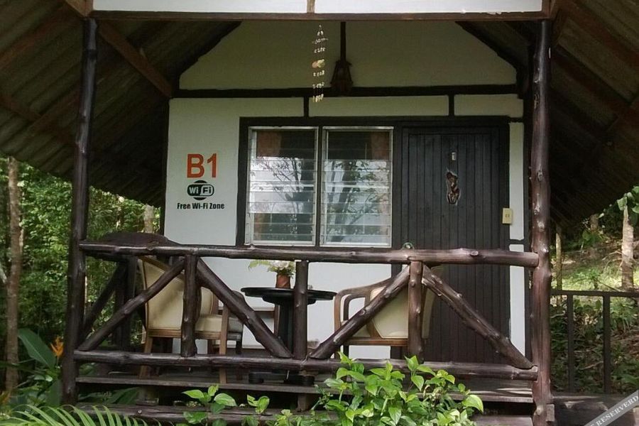 foto-3