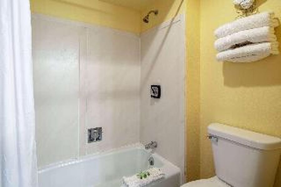photo-0